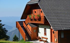 Apartmaji Srnca